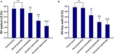 The impact of different left ventricular geometric patterns on right ventricular deformation and function in the elderly with hypertension: A two-dimensional speckle tracking and three-dimensional echocardiographic study